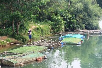 Tiến đến quy hoạch lại vùng nuôi