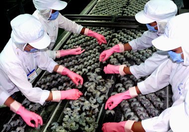 6 tháng, CAMIMEX dự phòng giảm giá hàng tồn kho 126 tỷ đồng