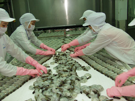 CAMIMEX Thay đổi Người được ủy quyền công bố thông tin 