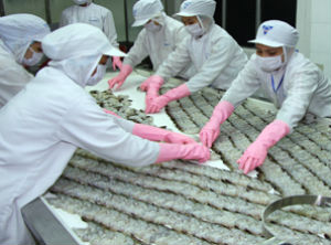 CMX Giảm lỗ chênh lệch tỷ giá, lãi quý 1 gần 2 tỷ đồng