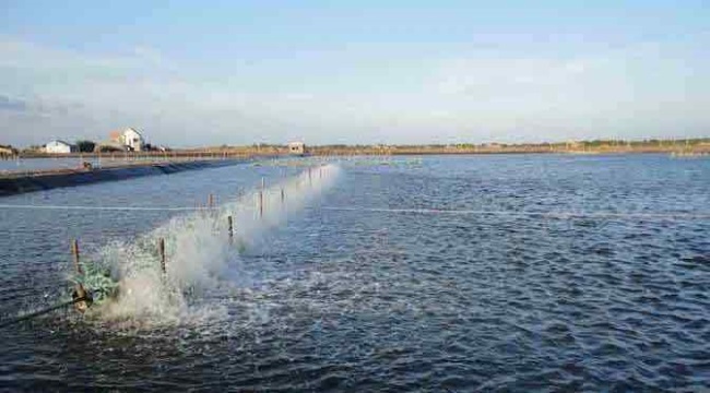 Tháng chín trời mưa và lòng người đang nóng…