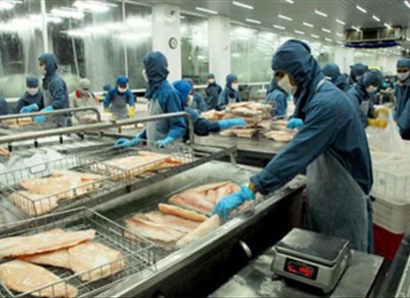 Hỗ trợ 100% lãi suất cho vay sản xuất nông nghiệp ứng dụng công nghệ cao