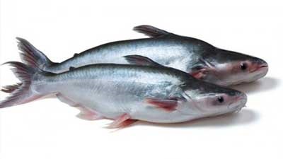 USDA bắt đầu thanh tra cá tra nhập khẩu từ 282017