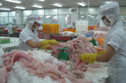 Cần phân rõ tỷ lệ mạ băng đối với cá tra tiêu thụ nội địa và xuất khẩu!