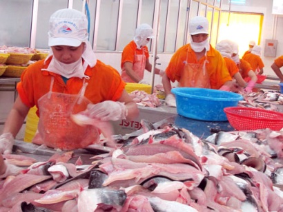 Sản phẩm cá tra là hàng hóa rủi ro về giấy phép