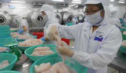 NAFIQAD đề nghị FSIS công nhận thêm 22 cơ sở đủ điều kiện XK cá tra sang Mỹ