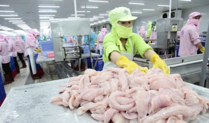 Giá cá tra chững tại thị trường Brazil