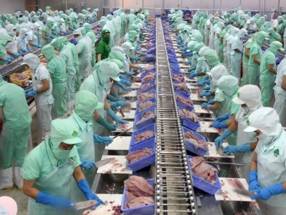 Xuất khẩu cá tra sang Trung Quốc cơ hội và rủi ro!