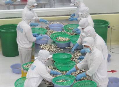 5 mức thuế suất giá trị gia tăng cho cùng một sản phẩm nghêu