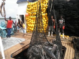 Solomon được cấp 7,3 triệu USD để phát triển ngành cá ngừ