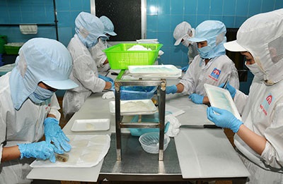 Hàng nhập khẩu để SXXK sẽ không phải thực hiện công bố hợp quy