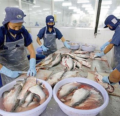 CL-FISH CORP Chủ tịch HĐQT Trần Thị Vân Loan chỉ mua được 971.430 cp