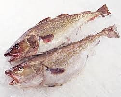 Hạn ngạch cá tuyết cod Biển Bắc dự kiến tăng 20.000 tấn