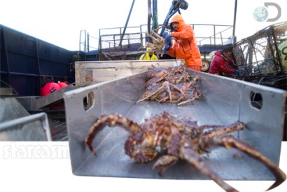 Nguồn cung hạn chế khiến giá cua tuyết và huỳnh đế tăng