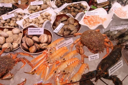 Brazil Nhập khẩu cá năm 2017 tăng