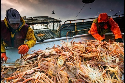 Nhu cầu cua tuyết Canada ở mức cao kỷ lục