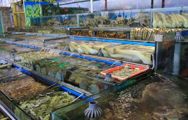 Các Chính trị gia Mỹ kêu gọi đóng cửa chợ bán đồ tươi sống ở Trung Quốc