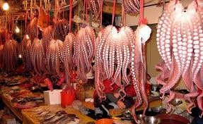 Giá bạch tuộc có thể tăng trở lại