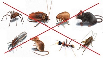 Khóa đào tạo Kiểm soát hiệu quả động vật gây hại trong nhà máy chế biến thủy sản và thực phẩm