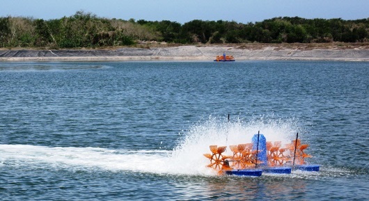 Suy nghĩ sau một hội thảo tôm