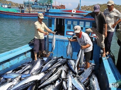 Hội nghị tăng cường công tác bảo quản, chế biến sản phẩm thủy sản từ khai thác