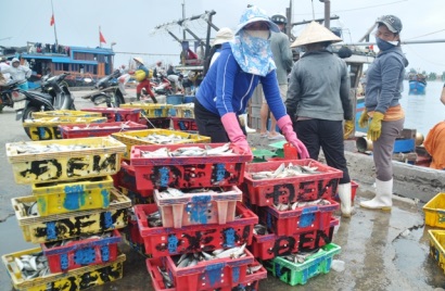 Thừa Thiên Huế Đầu năm ra khơi