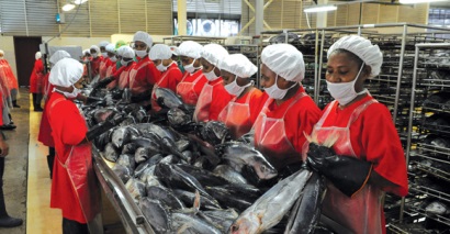 Papua New Guinea nhập cá ngừ cao hơn xuất 