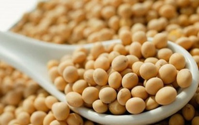 Brazil Hoạt động bất hợp pháp trong sản xuất đậu nành là mối quan tâm lớn trong ngành nuôi trồng thủy sản