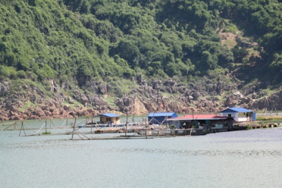 Hòa Bình Xã Thung Nai xây dựng thương hiệu cá sạch