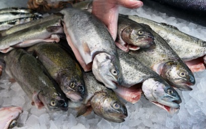 Đức Tiêu thụ thủy sản bình quân đầu người tăng lên 14,2kg