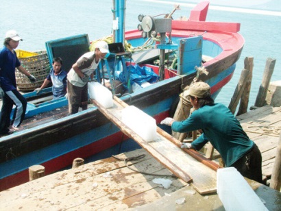 Phát triển các mô hình liên kết sản xuất trên biển