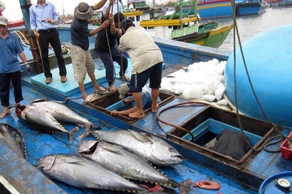 EC sẽ xem xét lại vấn đề “thẻ vàng” của Việt Nam vào tháng 12019