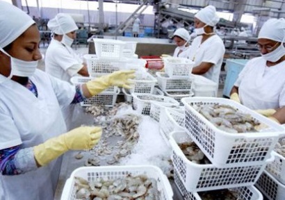 Ecuador ủng hộ việc đưa tôm vào chương trình giám sát của Mỹ