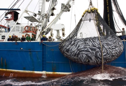 Ecuador tham gia vào hiệp định thương mại giữa EU và Colombia, Peru 
