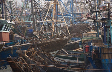 Thiệt hại kinh tế từ khai thác bất hợp pháp có thể lên tới 50 tỷ USD 