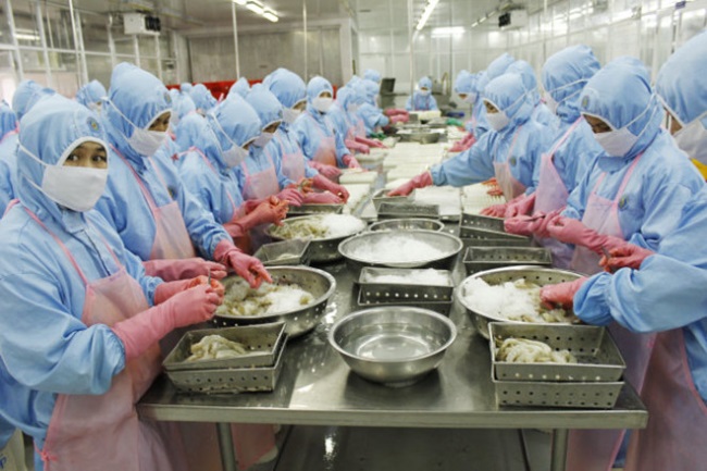 Xuất khẩu tôm Việt Nam trong tháng 102019 giảm nhẹ