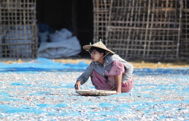 Myanmar Dịch Covid-19 không ảnh hưởng nhiều đến xuất khẩu thủy sản sang Trung Quốc 