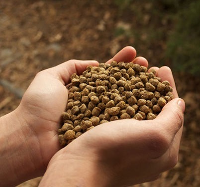 Thị trường thức ăn thủy sản nước ấm sẽ đạt 60.915 triệu USD vào năm 2026