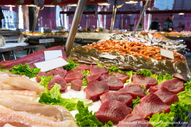 Người mua cá ngừ EU hưởng lợi do đồng đô la suy yếu