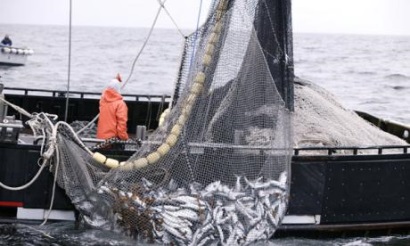 Oceana Khai thác IUU là một tội phạm về môi trường