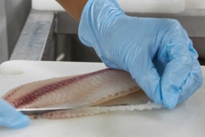 Mỹ Nhu cầu cá rô phi có khả năng tăng