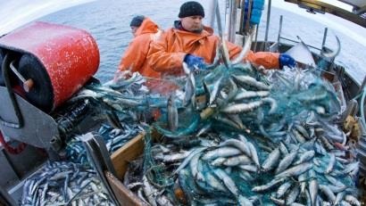 Mỹ báo cáo số trữ lượng bị khai thác quá mức thấp kỷ lục