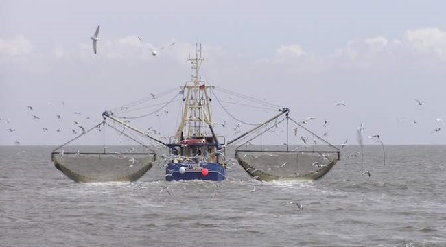 Công nghệ giúp thay đổi ngành khai thác thủy sản