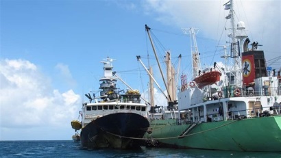 Pew cần phải kiểm soát việc chuyển tải cá ngừ