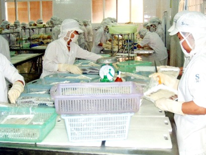 Lô nguyên liệu thủy sản nhập khẩu  “vướng’’ vì yêu cầu phải có Giấy chứng nhận An toàn vệ sinh