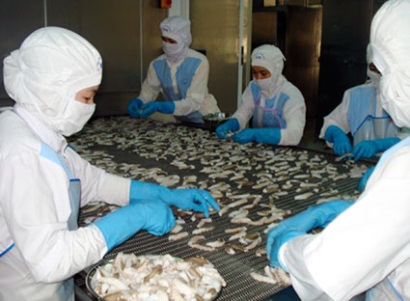 Kiến nghị cho phép lô hàng nguyên liệu thủy sản NK được đưa vào sản xuất khi chờ thông quan