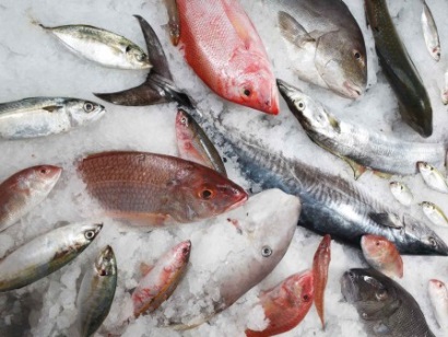 Công ty Hải Nam – 35 năm – Con tàu vượt đại dương