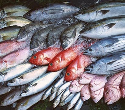 Hàn Quốc ra mắt thương hiệu thủy sản toàn cầu