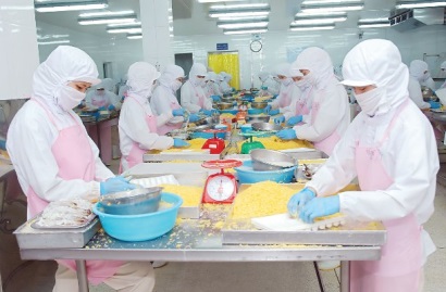 Thay đổi tư duy xuất khẩu cá tra sang EU Tăng giá, tăng chất lượng