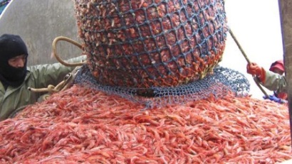 Canada FFAW phản đối kế hoạch khôi phục nguồn lợi của DFO